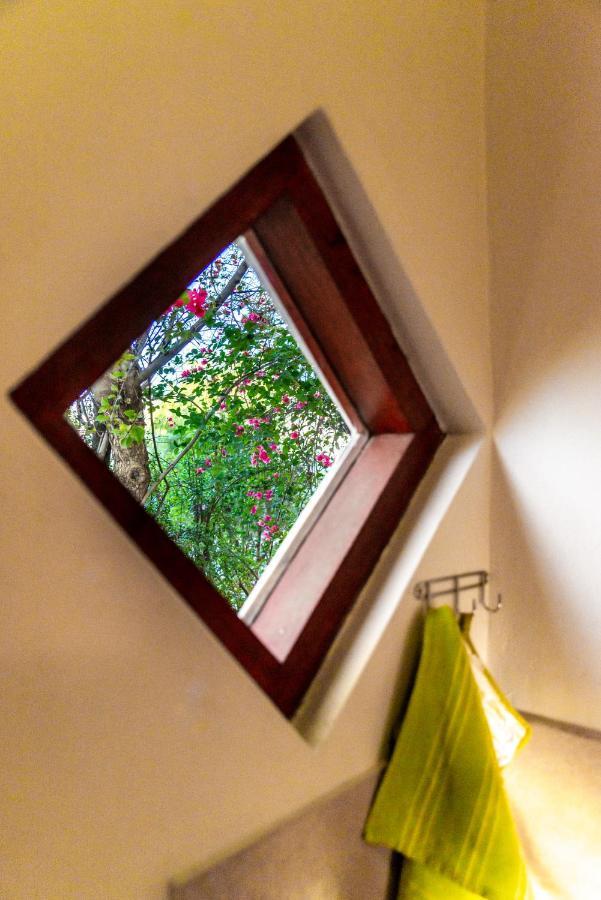 Elfen Cottage برنس ألبرت المظهر الخارجي الصورة