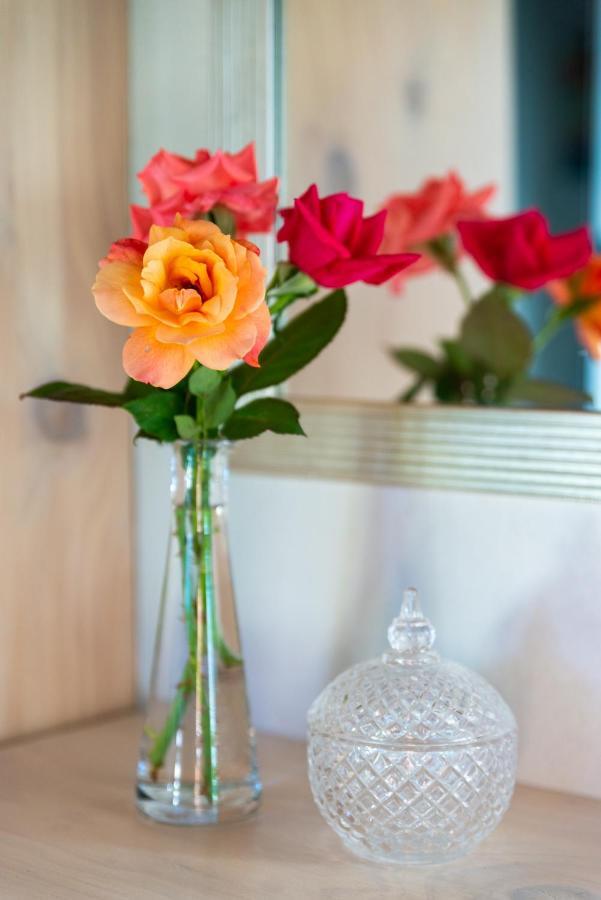 Elfen Cottage برنس ألبرت المظهر الخارجي الصورة