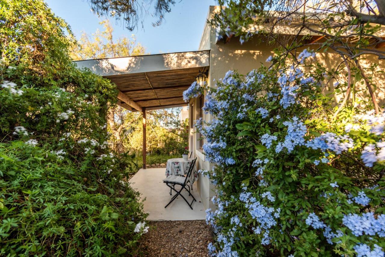 Elfen Cottage برنس ألبرت المظهر الخارجي الصورة